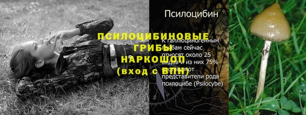 молекула духа Инта