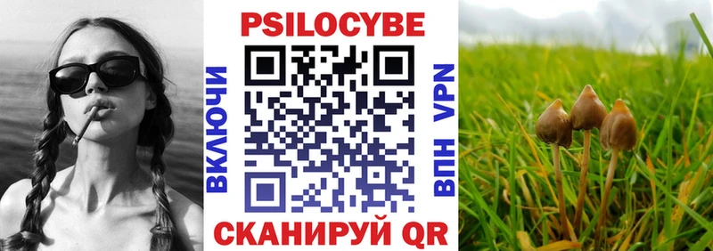 купить закладку  Ковдор  Галлюциногенные грибы Psilocybe 